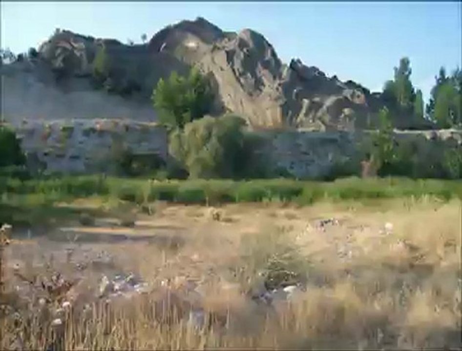 ÇĞDEM GÜL - ağrı dağın eteğinde