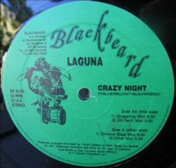 LAGUNA - Crazy night (groove bass mix)