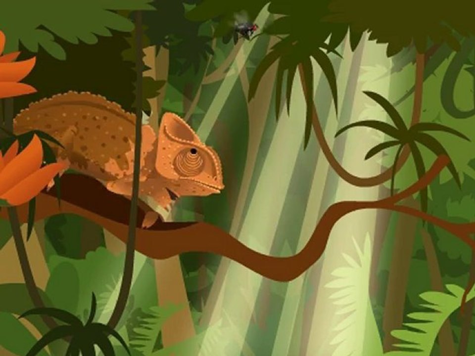 CAMELEON