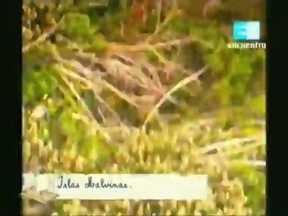 MALVINAS/FALKLANDS (1982-2012): Documental sobre el tema Malvinas.