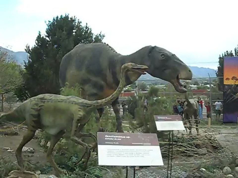 Dinosaurios