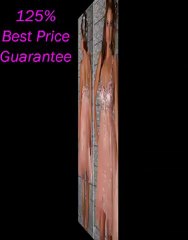 Plus Size Prom Dresses 2012