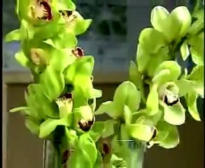 Vintage Magnolia, Florist Vail CO, on TV8 Vail