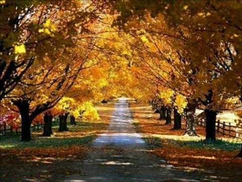 A TODOS LADOS TE LLEVARE-JESUS ADRIAN ROMERO