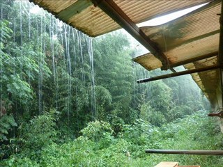 Working BGM Vol.02 Rainy Day's