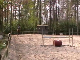 Goldava saut au trot