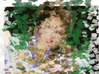 Necla  AKBEN SEHER SEHER