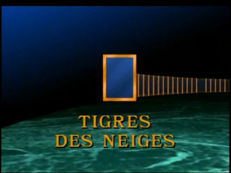 national geographic : le tigre des neiges (1)