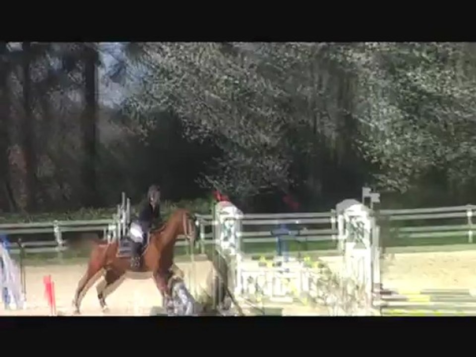 Concours du manoir du 1er avril