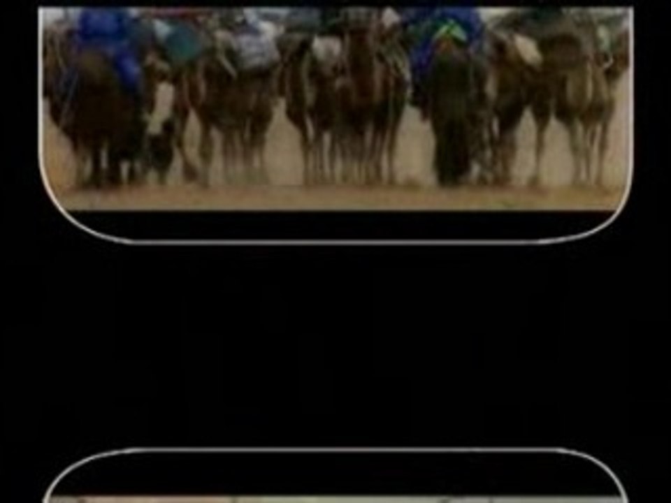 Bayasgalan - Botgonii duu