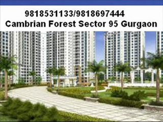 9818531133 Cambrian Forest Sector 95 Gurgaon  | SKM Cambrian Forest