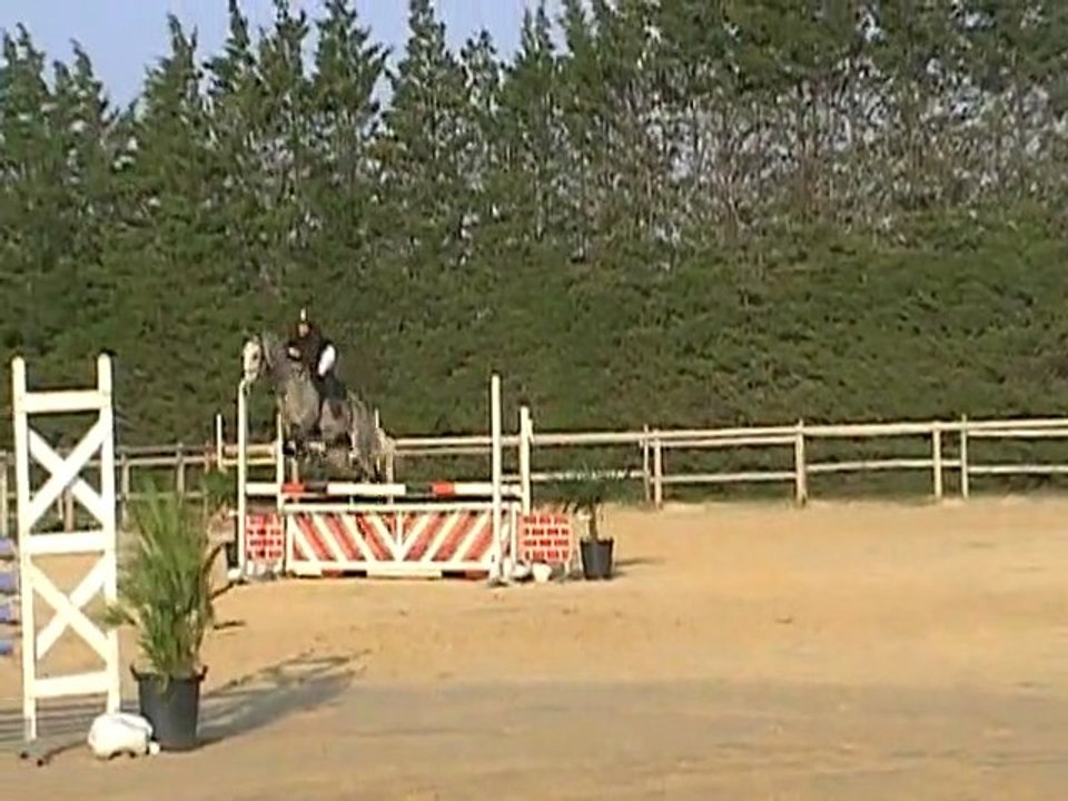 Tanis CSO Fressy le 01.04.12 Prépa 95cm