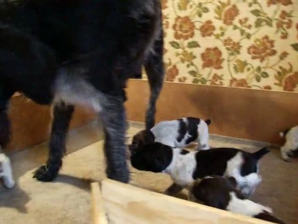 LES BEBES S EVEILLENT 3
