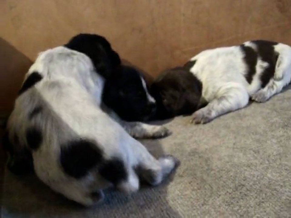 LES BEBES S EVEILLENT 1