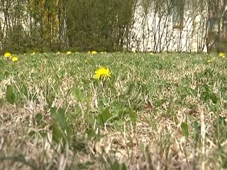 uniti per salvare la montagna