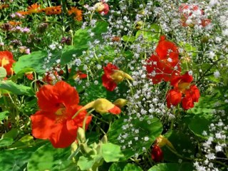 Елена Гудкова - Солнышко