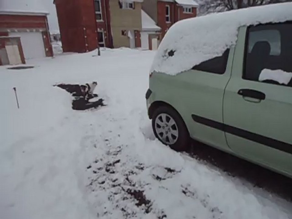 046 fripouille neige 2012