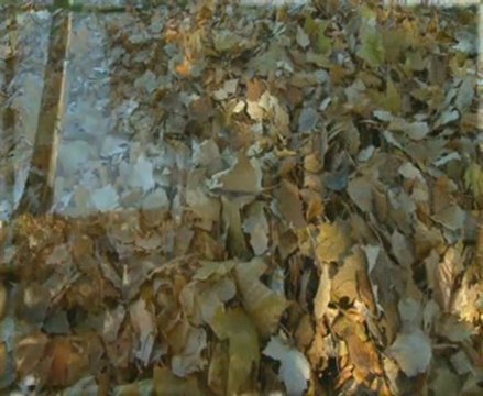 NECMETTİN AKBEN Ahımı hicranımı sakladım gizli tuttum 1