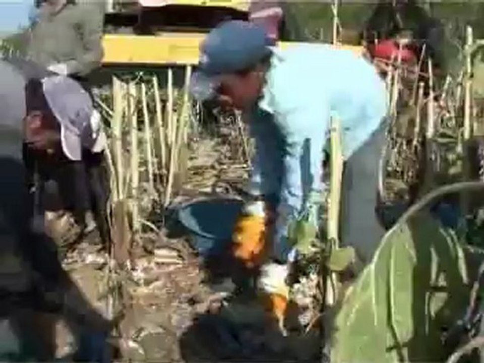 Aksaray'da otobüs kazası 2 ölü 30 yaralı