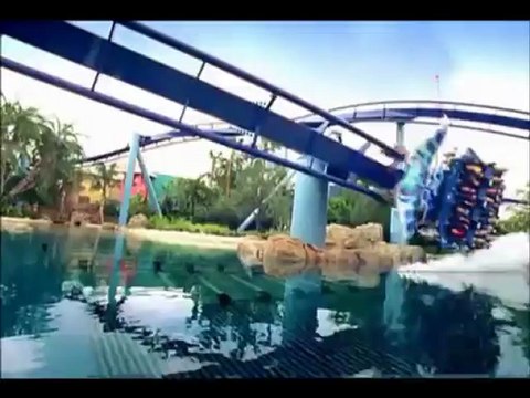 Surprise DisneyWorld Florida DVD reveal!