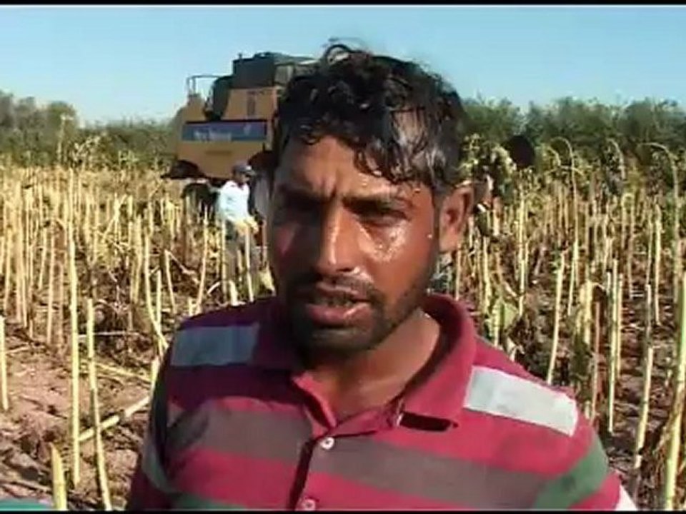 Aksaray'da Şanlıurfa'lı işçilerin tarlada ekmek mücadelesi