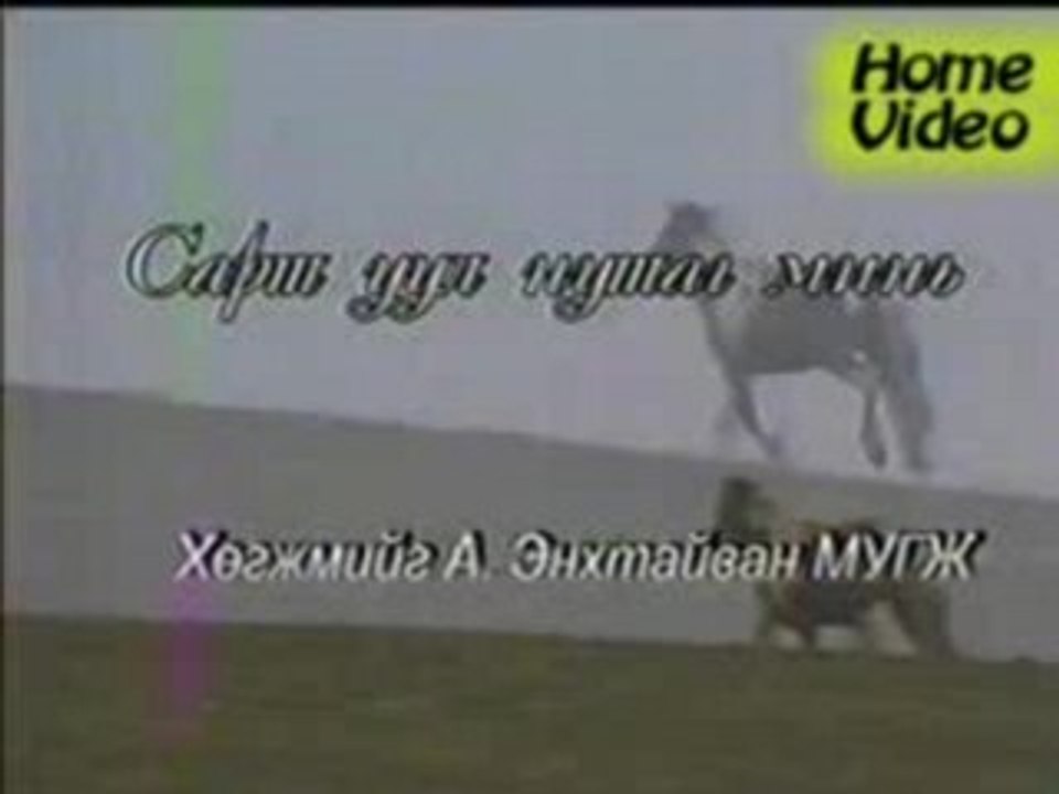 Dalantai - sartuul nutag mini