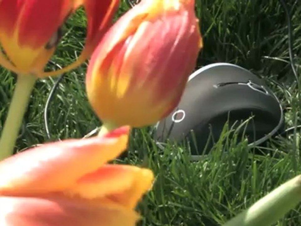 Classic Game Room - RAPTOR GAMING M3X Laser Gaming Mouse review