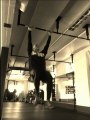 20 slowmotion pullups.. ZzZzz