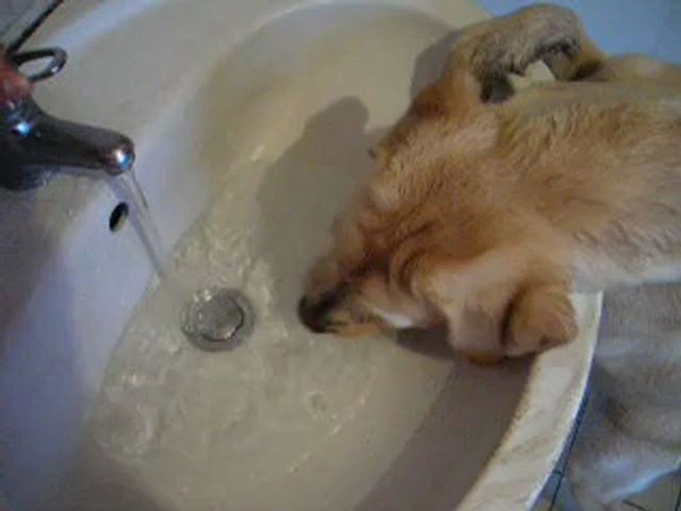 Gipsy:au secours,ma môman ne me donne pas a boire.