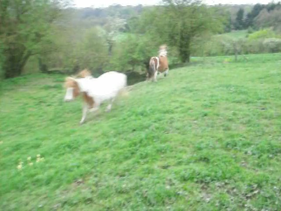 Bambi et Anatole chargent Facoli...