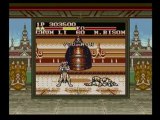 Classic Game Room: STREET FIGHTER II for Nintendo Game Boy review