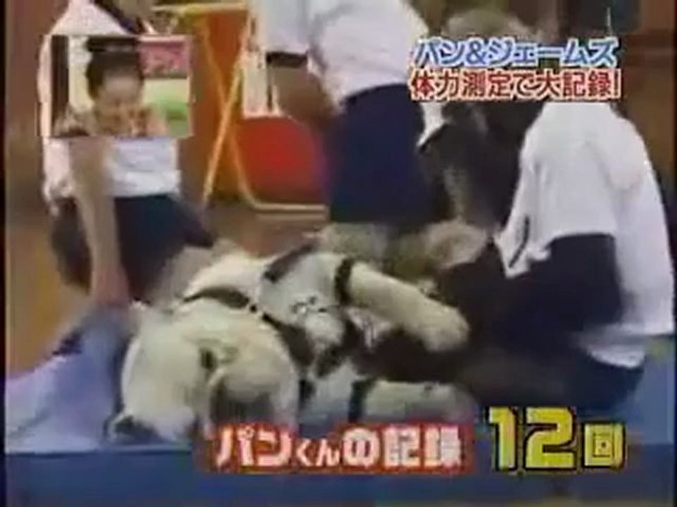 Maymun ve köpek 1