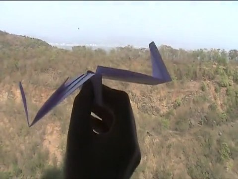 Avion en papier capturé en plein vol par un aigle