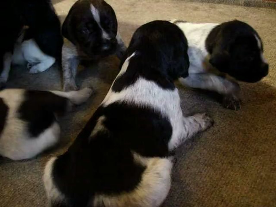 LES BEBES S EVEILLENT 4