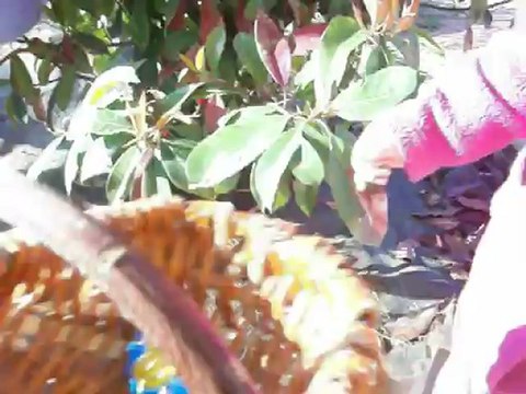 Candice et Jasmine Paques 2012