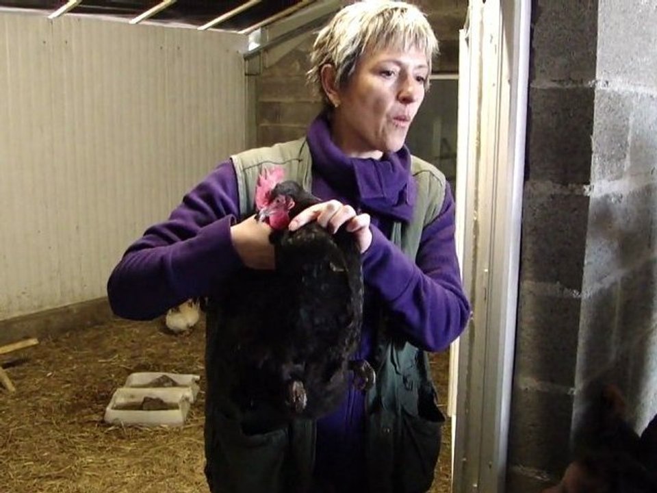 ferme de Neufchef (1)