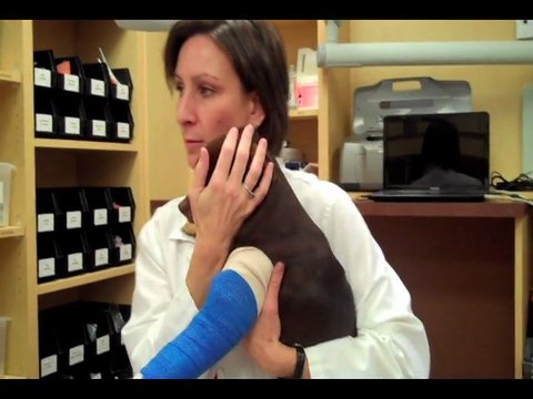 Why get pet Xrays? - Veterinarian Marietta Alpharetta Georgia