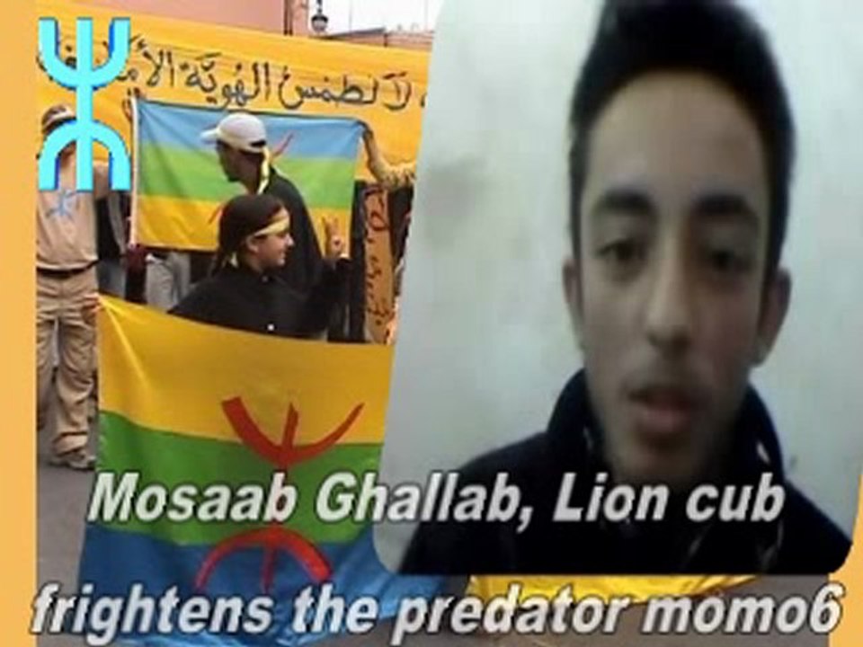 Lion Cub frightens the despot Mohamed6  شبـــل أمازيغي يُرعب الملك المفترس