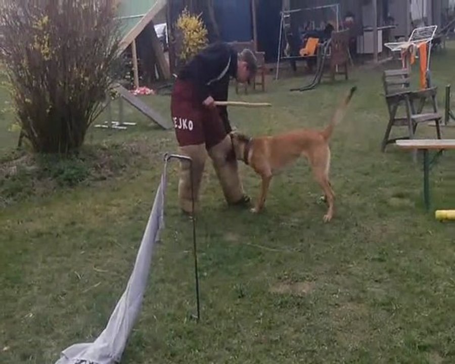 Kenzo april 2012_0001