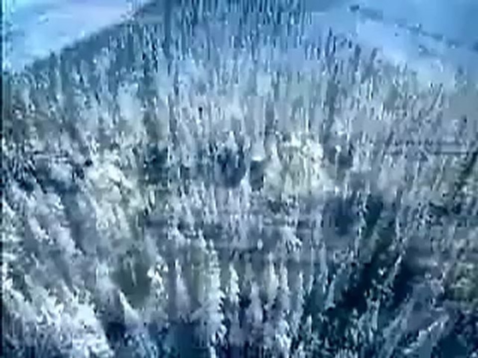 Family Rejection ~ Spoken by Mooji - YouTube