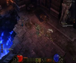 [Beta Diablo Patch 15] Feticheur - MMO-Legacy