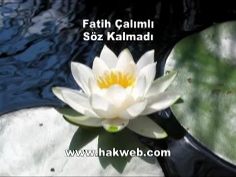 Fatih Çalımlı - Söz Kalmadı.