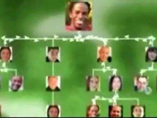 08 MONAVIE PLAN DE COMPENSACION