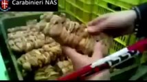 Roma - Nas, sequestrate 2. 800 tonnellate di alimenti pericolosi (07.04.12)