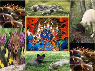 Share empathy, cease cruelty.