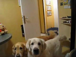 Les Calendriers de l'Avent de d'Jack & Benji