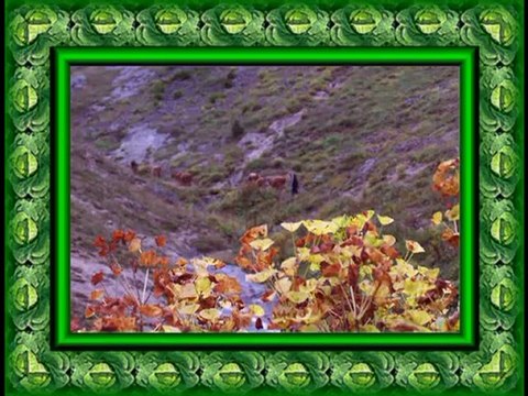 kasımağzı köyü yediharman yaylası-2012 hali itibariyle