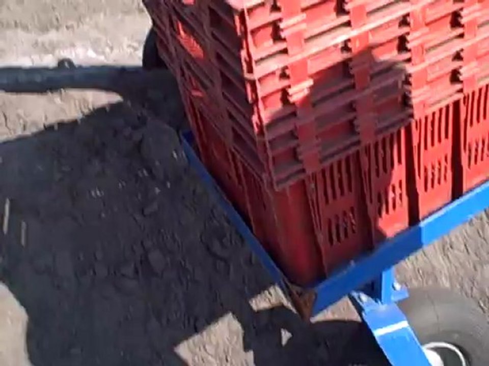 Interview d'Evelyne Margariti, productrice d'asperges à Ychoux, Landes (©Papilles et Pupilles)