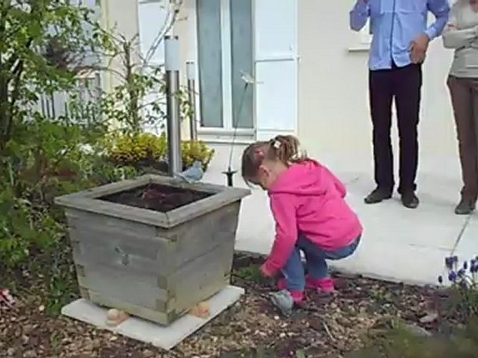 Chasse aux Oeufs