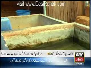 Criminals Most Wanted - 8th April 2012 part 2